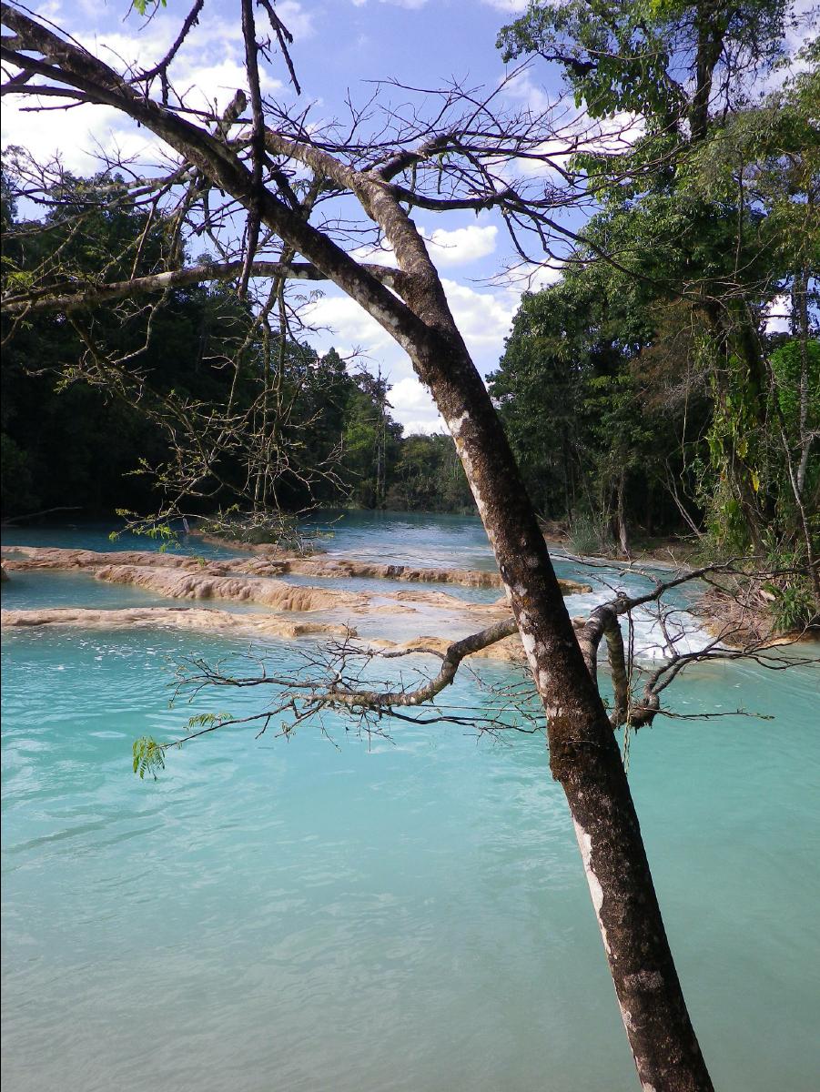 Agua Azul Waterfall19